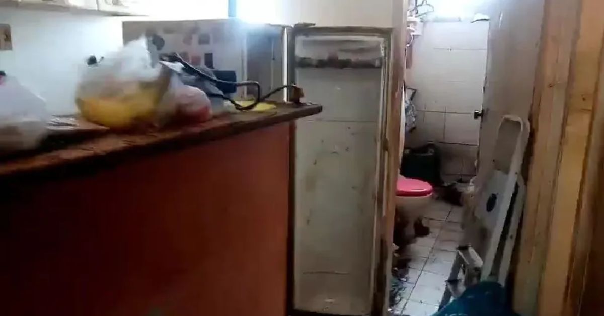 Laudo Exp E Causa Do Falecimento De Homem Encontrado Sem Vida Dentro De