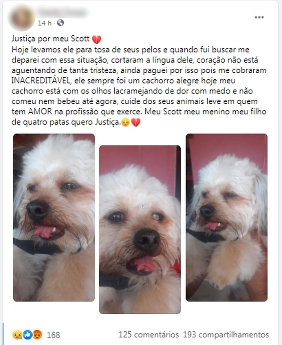Desabafo de dona de animal que teve a lngua cortada em pet shop ganhou repercusso nas redes sociais Foto FacebookReproduo