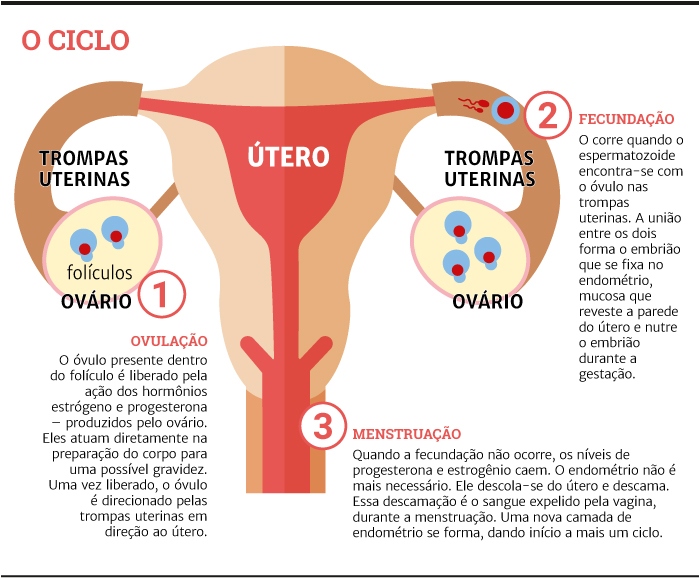 Menstruao entenda o ciclo e veja dicas para aliviar clicas e TPM GZH