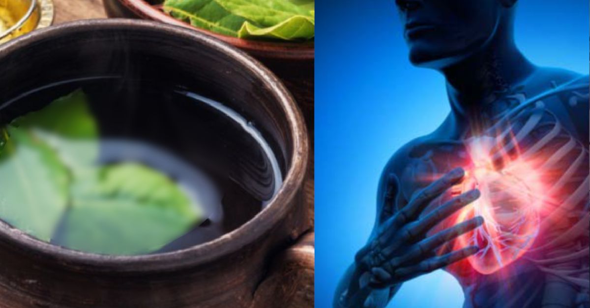 O chá desta planta conhecida como 'Bênção de Deus' controla a pressão alta, o diabetes, a O chá desta planta conhecida como 'Bênção de Deus' controla a pressão alta, o diabetes, a